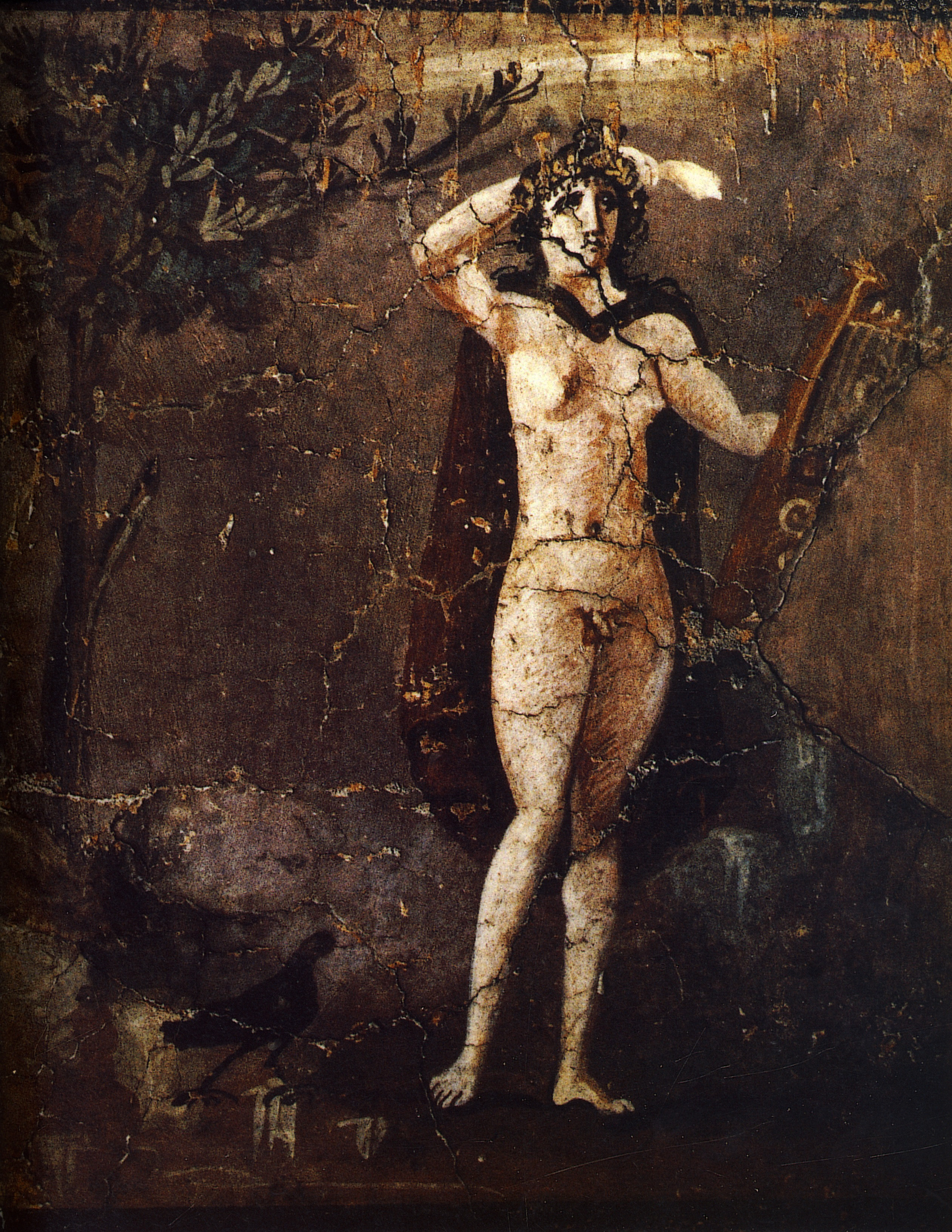 Hermaphroditus